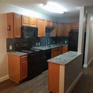 houses for rent in Austin