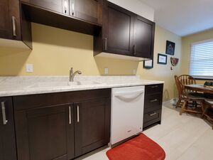 houses for rent in Bellevue