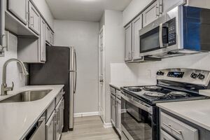 houses for rent in Dallas
