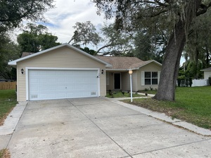 houses for rent in Lady Lake