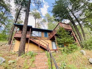 houses for rent in Mount Lemmon