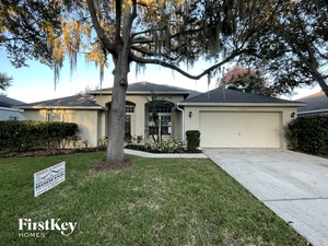 houses for rent in Valrico