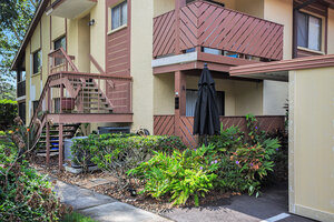 houses for rent in Safety Harbor