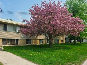 houses for rent in Grand Forks