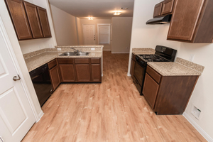 houses for rent in Houston