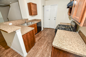houses for rent in Houston