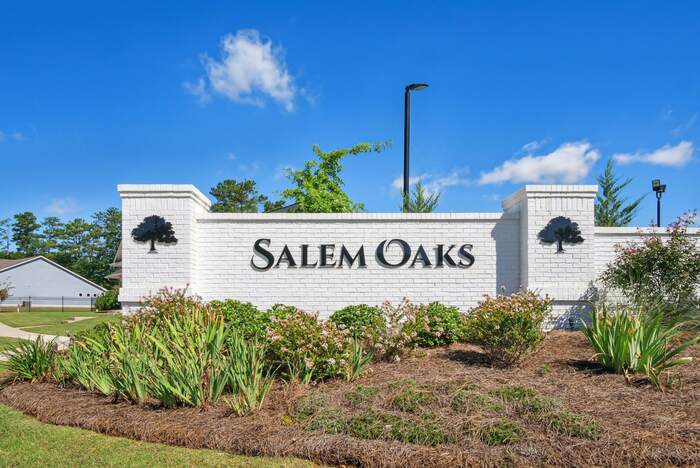 3 Bedroom Rental – McDonough, McDonough, GA, 30253