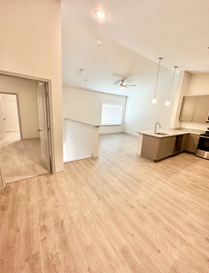 houses for rent in Pflugerville