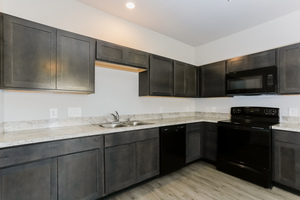 houses for rent in Houston