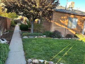 houses for rent in Palisade