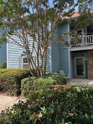houses for rent in Charlotte