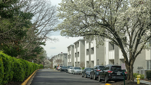 community_image