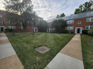 houses for rent in Alexandria