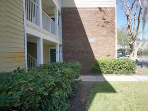houses for rent in Tampa