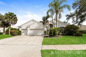 houses for rent in Palm Harbor