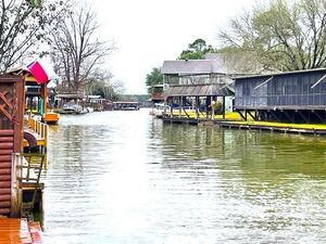 houses for rent in Willis