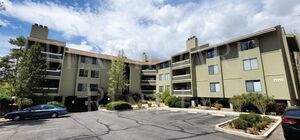 houses for rent in Reno