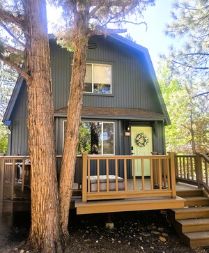 houses for rent in Big Bear