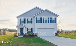 houses for rent in Macon