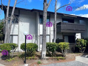 houses for rent in Walnut Creek