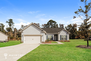 houses for rent in Thomson