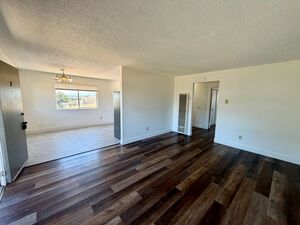houses for rent in Monterey