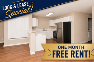 houses for rent in Leander