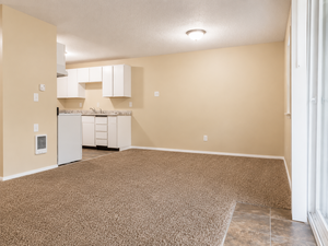 houses for rent in Olympia
