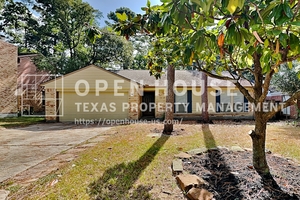 houses for rent in Spring