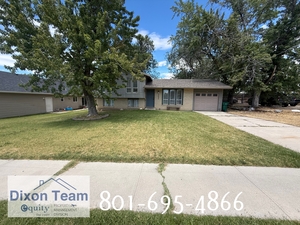 houses for rent in Roy
