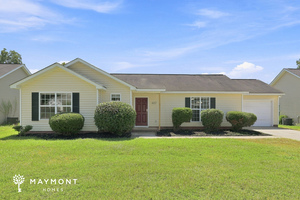 houses for rent in Hopkins