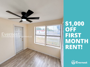 houses for rent in St. Petersburg