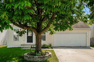 houses for rent in Galloway