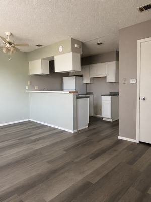 houses for rent in Austin