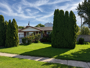 houses for rent in Murray