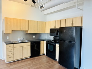 houses for rent in St. Louis