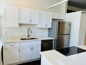 houses for rent in St. Louis