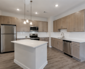 houses for rent in Houston