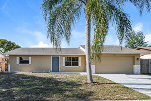 houses for rent in New Port Richey