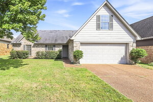 houses for rent in Olive Branch