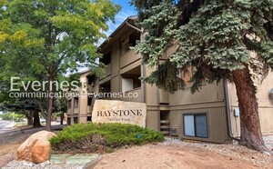 houses for rent in Fort Collins