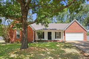 houses for rent in Olive Branch