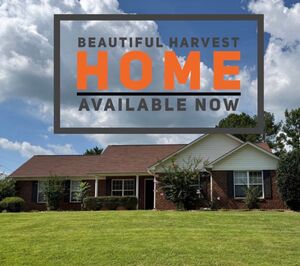 houses for rent in Harvest