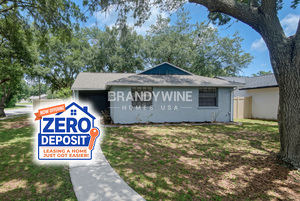 houses for rent in Tampa