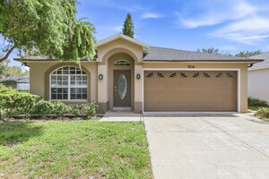 houses for rent in New Port Richey