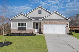 houses for rent in Hoschton