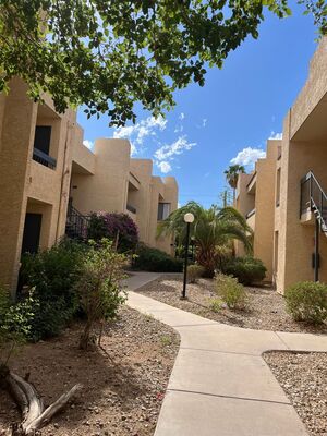 houses for rent in Tempe