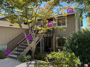 houses for rent in Walnut Creek