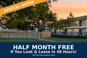 houses for rent in Austin