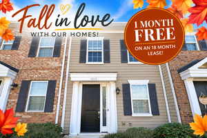 houses for rent in Pineville